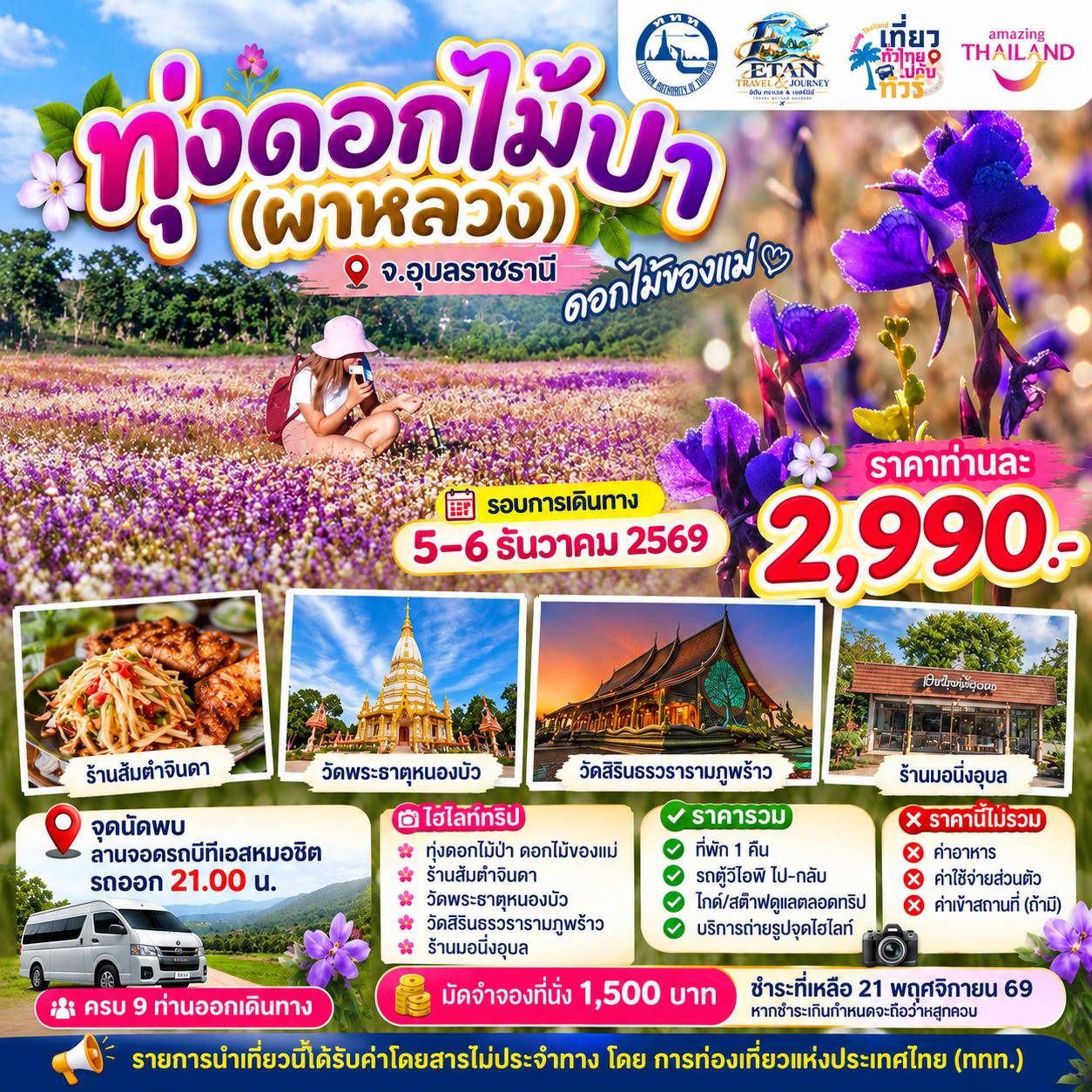 ทุ่งดอกไม้ป่า(ผาหลวง) จังหวัดอุบลราชธานี