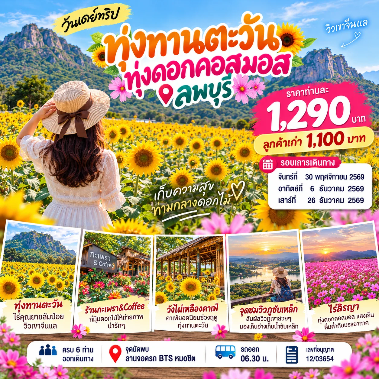 วันเดย์ทริป ทุ่งทานตะวัน&ทุ่งคอสมอส (ลพบุรี)